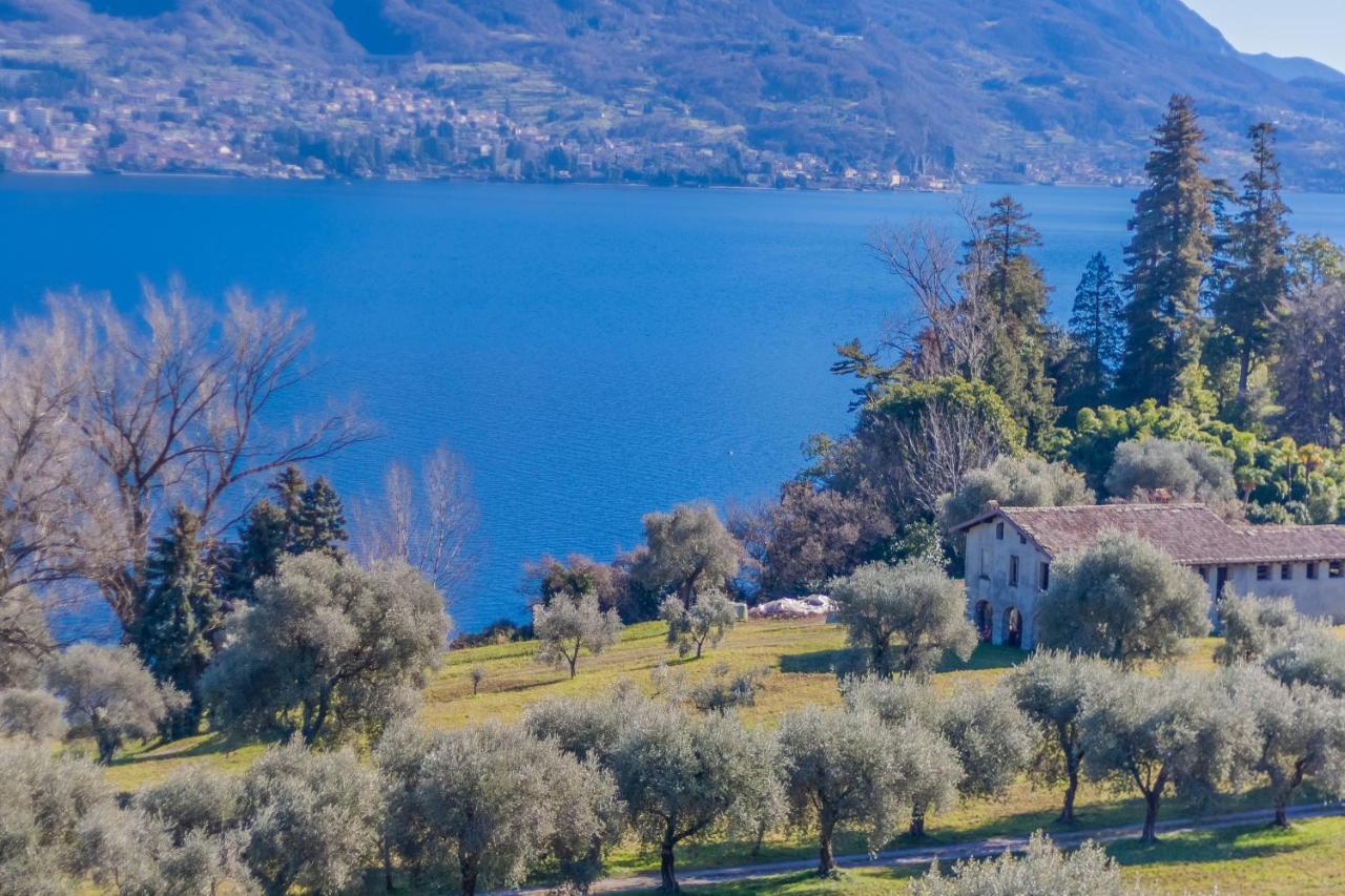 Easy Welcome Ca'Maria Lavanda Bellagio Esterno foto